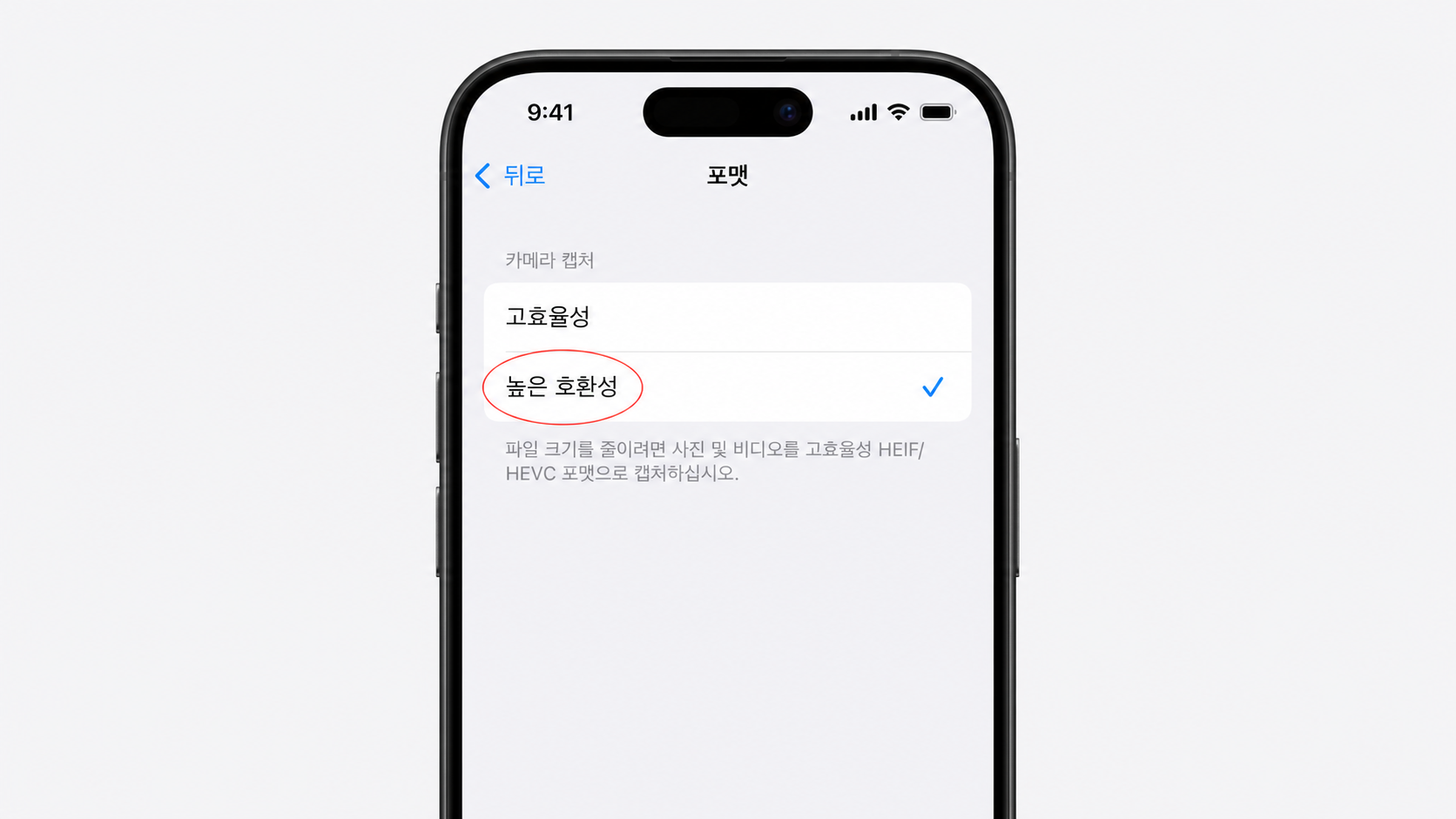 아이폰 카메라 포맷에서 높은 호환성을 선택한 화면