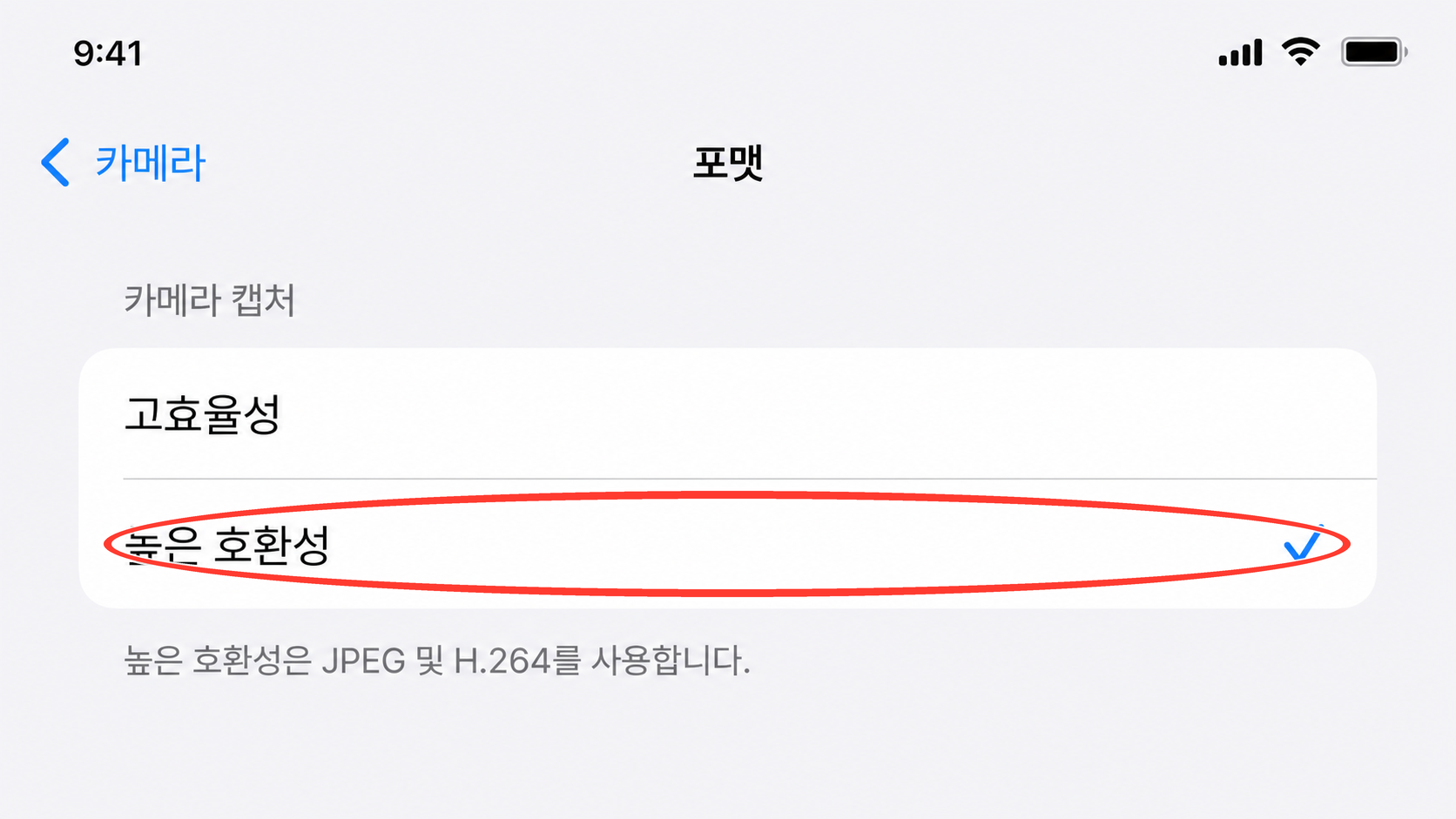 카메라 포맷에서 높은 호환성을 선택한 화면